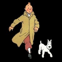 Tintin-icon-tintin-comic-book-club-32269351-200-200